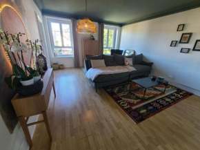 Appartement confortable 4 pers à Épinal avec parking privatif - FR-1-589-682